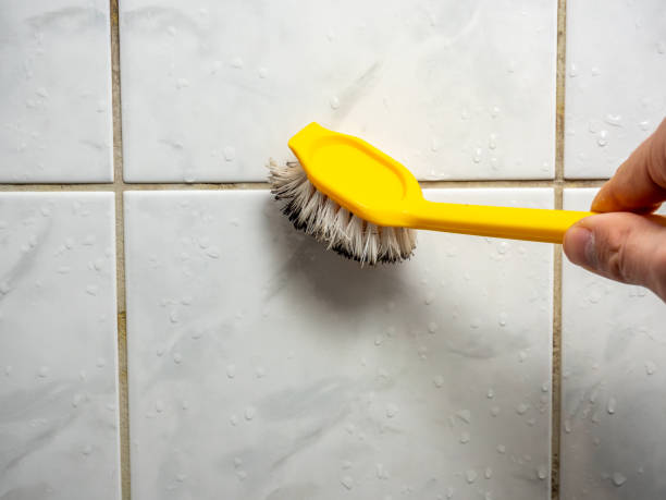 Best Local Mold Removal Service  in Richmond, MN