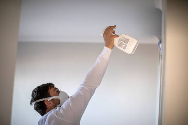 Best Mold Cleaning Services  in Richmond, MN