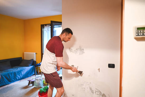 Best Toxic Mold Removal  in Richmond, MN