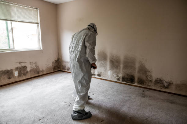 Best Mold Testing  in Richmond, MN